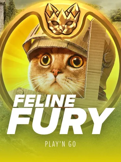 Feline Fury