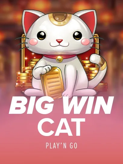 Big Win Cat